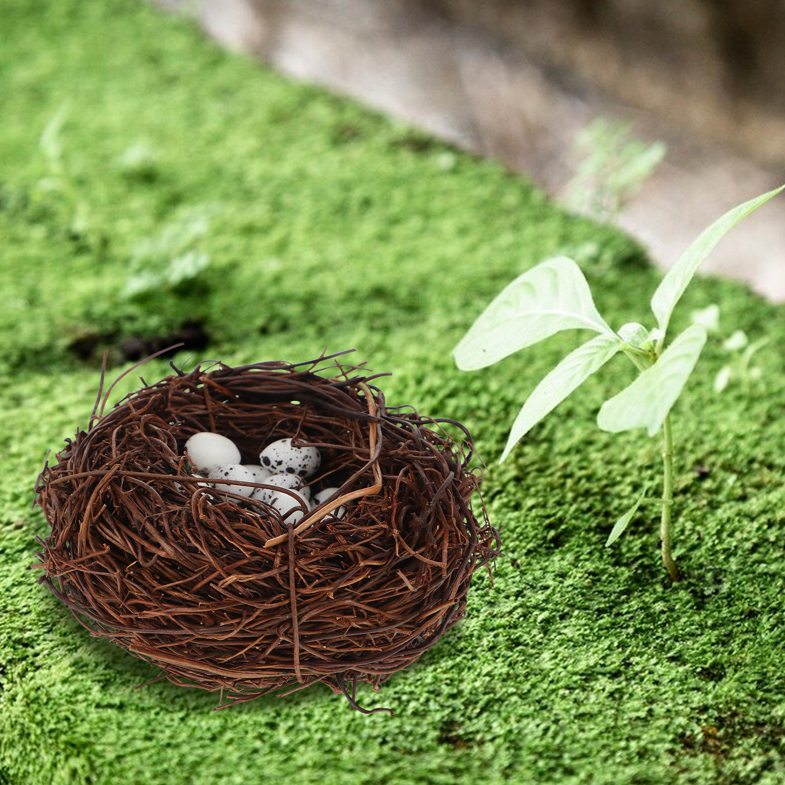 Miniature Bird Nest Decoration - Home Decor Rattan 리뷰 및 가격