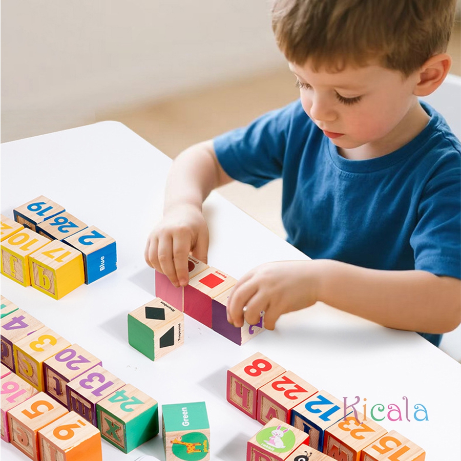 Montessori Wooden Number Block - Wooden Letter Sign 리뷰 및 가격