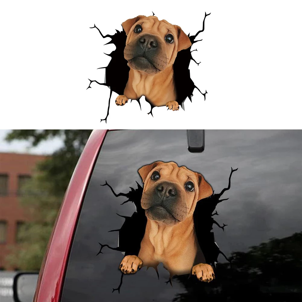 Animal Car Stickers Waterproof - Home Decor Outlet 리뷰 및 가격