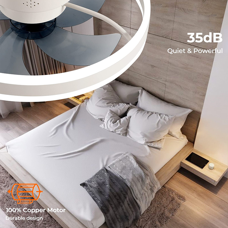 LED Ceiling Light Fan With APP - Home Decor App Free 리뷰 및 가격