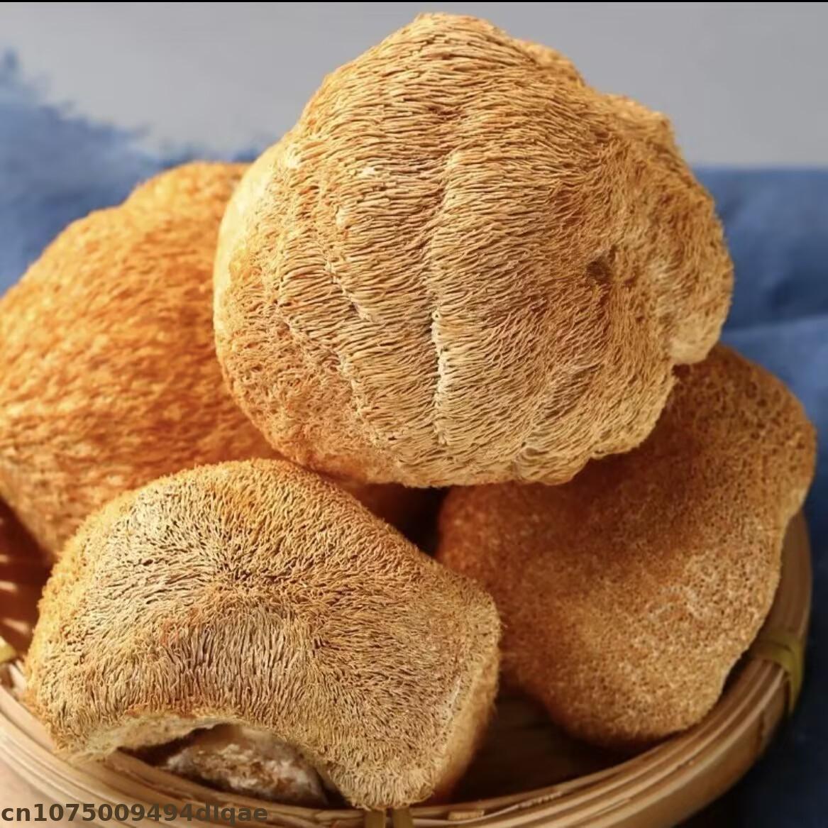 Premium Dried Lion's Mane Mush - Home Decor Rattan 리뷰 및 가격